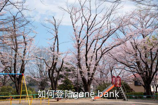 中銀消費(fèi)金融怎么登錄，如何登陸中國銀行的app