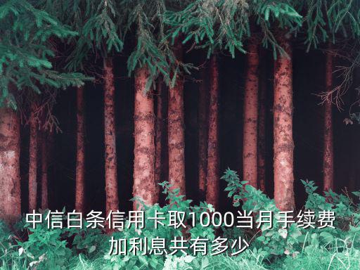 中信白條信用卡取1000當(dāng)月手續(xù)費(fèi)加利息共有多少