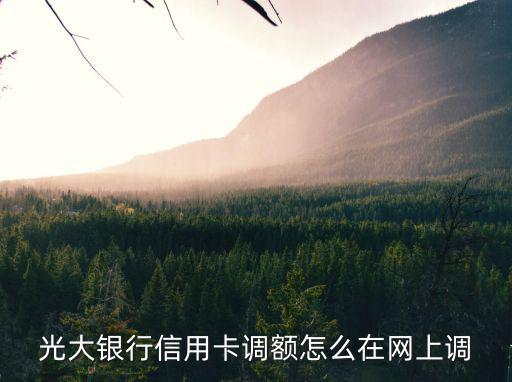 光大銀行信用卡調(diào)額怎么在網(wǎng)上調(diào)