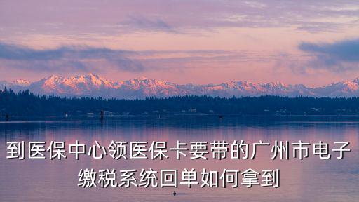 到醫(yī)保中心領醫(yī)?？ㄒ獛У膹V州市電子繳稅系統回單如何拿到