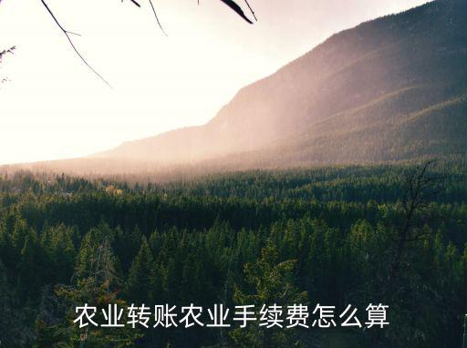 農業(yè)轉賬農業(yè)手續(xù)費怎么算