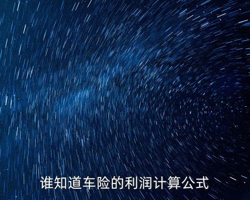 誰知道車險(xiǎn)的利潤計(jì)算公式