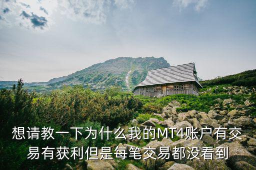 想請教一下為什么我的MT4賬戶有交易有獲利但是每筆交易都沒看到