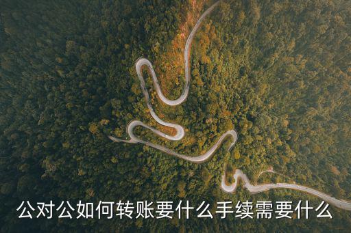 公對公如何轉(zhuǎn)賬要什么手續(xù)需要什么