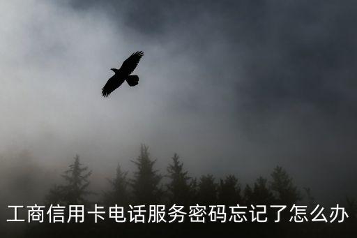 工行修改電話密碼忘了怎么辦，工商銀行電話銀行忘記密碼怎么辦