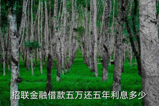 招聯(lián)金融借款五萬還五年利息多少