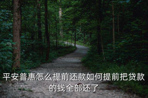 平安普惠怎么提前還款，平安普惠怎么辦理提前還貸款