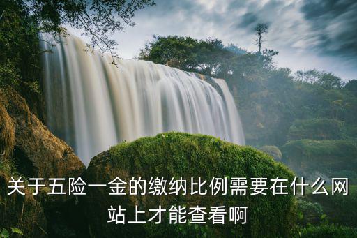 關(guān)于五險(xiǎn)一金的繳納比例需要在什么網(wǎng)站上才能查看啊