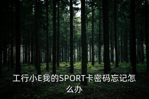 工行小E我的SPORT卡密碼忘記怎么辦