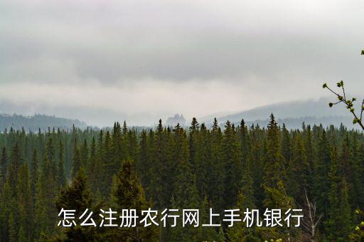 怎么注冊(cè)農(nóng)行網(wǎng)上手機(jī)銀行