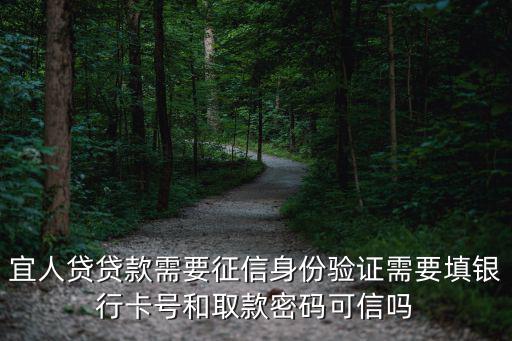 宜人貸借款怎么填寫，在宜人貸借款信息提交時優(yōu)惠碼填什么