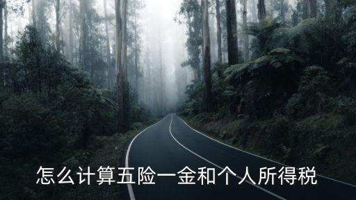 繳納五險怎么計算器，五險一金是如何算的