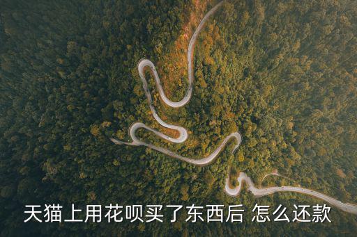 天貓上用花唄買了東西后 怎么還款
