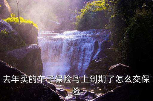 去年買的車子保險(xiǎn)馬上到期了怎么交保險(xiǎn)