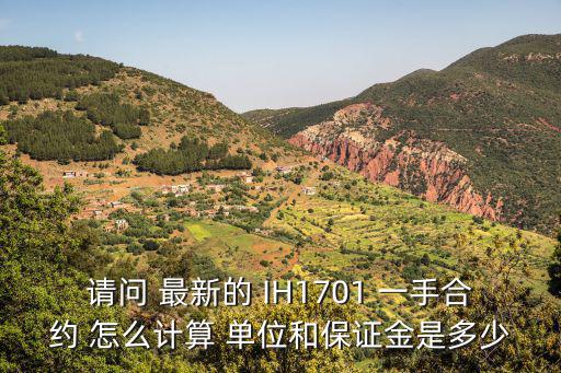 請(qǐng)問 最新的 IH1701 一手合約 怎么計(jì)算 單位和保證金是多少