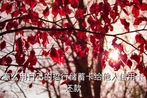 怎么用自己的招行儲(chǔ)蓄卡給他人信用卡還款