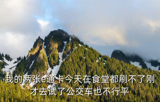 我的兩張e通卡今天在食堂都刷不了剛才去試了公交車也不行平