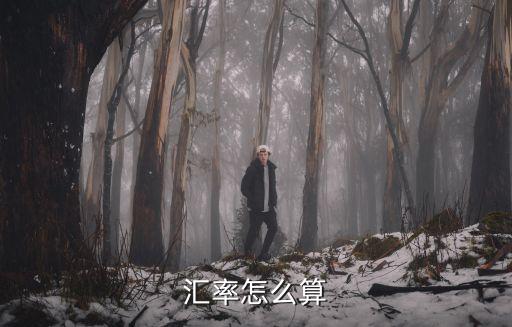 知道匯率怎么計(jì)算公式，新加坡的匯率怎么計(jì)算