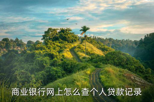 商業(yè)銀行網(wǎng)上怎么查個(gè)人貸款記錄