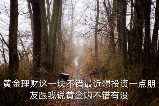 黃金買黃金理財怎么樣，黃金定投好不好