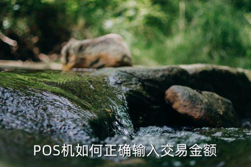 pos機上怎么交易，POS機如何正確輸入交易金額