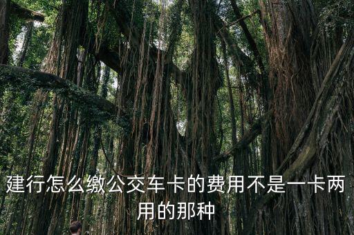 建行怎么繳公交車(chē)卡的費(fèi)用不是一卡兩用的那種