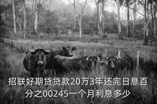 招聯(lián)好期貸貸款20萬3年還完日息百分之00245一個月利息多少
