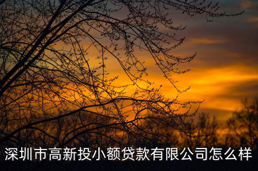 深圳市高新投小額貸款有限公司怎么樣