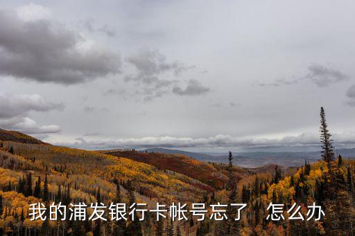 我的浦發(fā)銀行卡帳號(hào)忘了   怎么辦