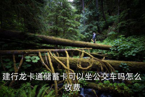 建行龍卡通儲(chǔ)蓄卡可以坐公交車(chē)嗎怎么收費(fèi)