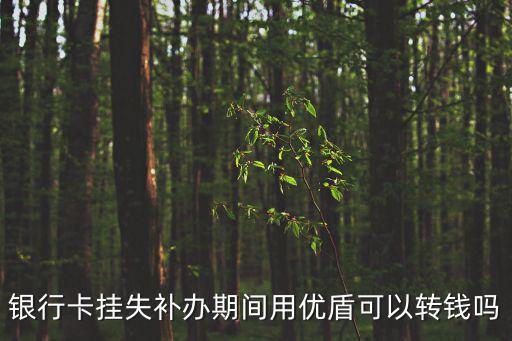 銀行卡掛失補(bǔ)辦期間用優(yōu)盾可以轉(zhuǎn)錢嗎