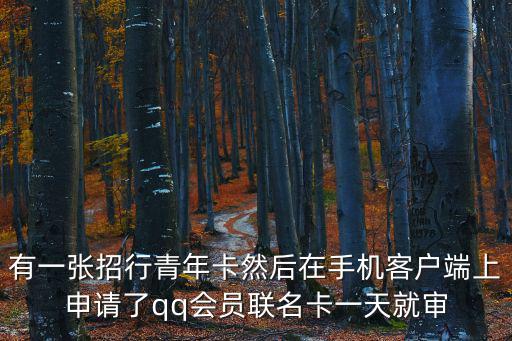 有一張招行青年卡然后在手機(jī)客戶端上申請了qq會員聯(lián)名卡一天就審