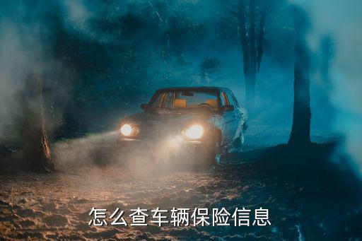 怎么查車輛保險(xiǎn)信息