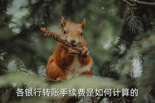 各銀行轉賬手續(xù)費是如何計算的