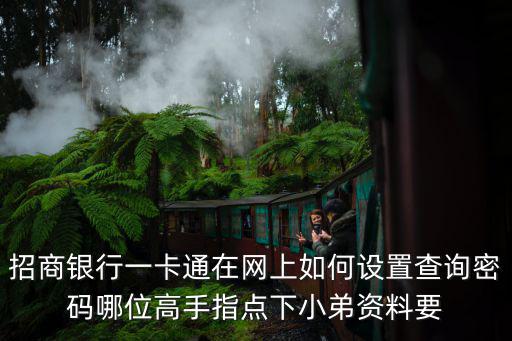 招商銀行一卡通在網(wǎng)上如何設(shè)置查詢密碼哪位高手指點(diǎn)下小弟資料要