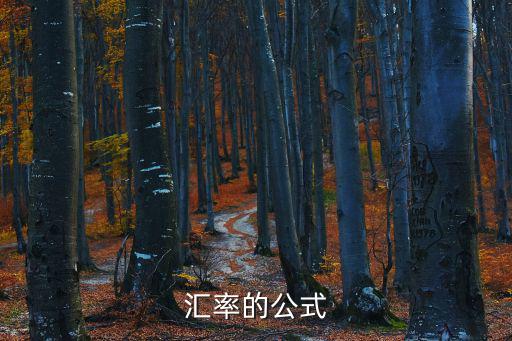 匯率的公式