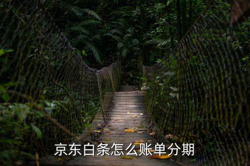 京東白條怎么賬單分期