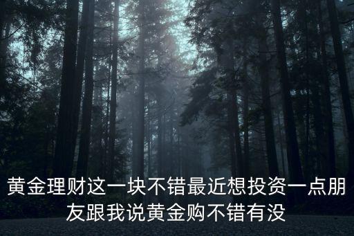 黃金理財(cái)這一塊不錯(cuò)最近想投資一點(diǎn)朋友跟我說黃金購不錯(cuò)有沒