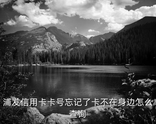 浦發(fā)信用卡卡號(hào)忘記了卡不在身邊怎么查詢