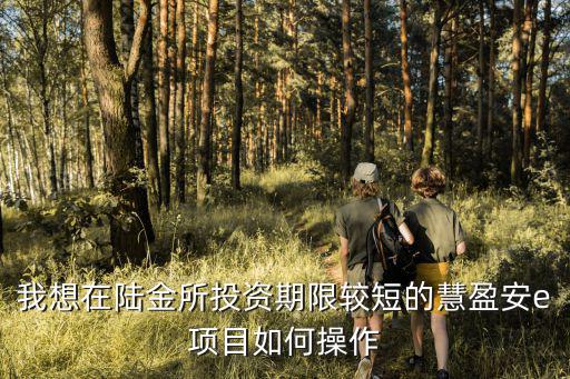 陸金所安e 怎么質(zhì)押，我想在陸金所投資期限較短的慧盈安e項目如何操作