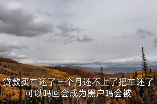 貸款買車還了三個(gè)月還不上了把車還了可以嗎回會(huì)成為黑戶嗎會(huì)被