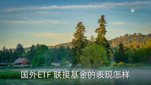 國外ETF 聯(lián)接基金的表現(xiàn)怎樣
