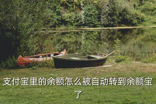 支付寶里的余額怎么被自動轉(zhuǎn)到余額寶了