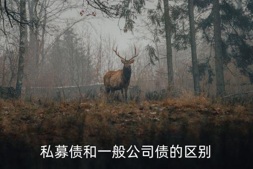 怎么區(qū)分私募債和公募債，私募公募的區(qū)別
