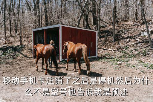 移動(dòng)手機(jī)卡注銷了之后是停機(jī)然后為什么不是空號(hào)他告訴我是預(yù)注