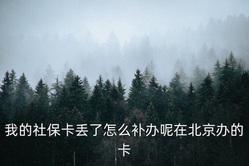 我的社?？▉G了怎么補辦呢在北京辦的卡