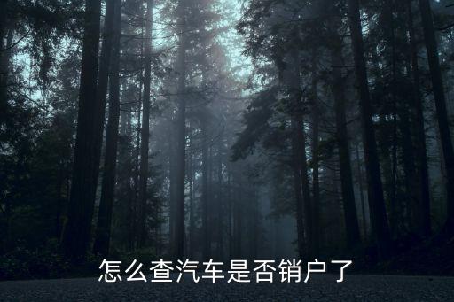 怎么查汽車是否銷戶了