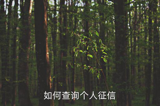 怎么測(cè)個(gè)人信用，個(gè)人信用怎么查