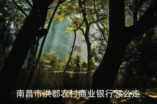 農(nóng)村商業(yè)銀行怎么走，農(nóng)村商業(yè)銀行在哪