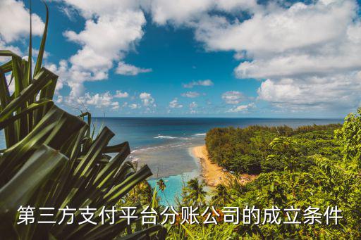 第三方代扣公司怎么開，如何成立第三方支付商務(wù)公司